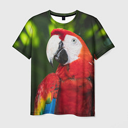 Футболка мужская Красный попугай Ара, цвет: 3D-принт