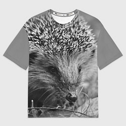 Мужская футболка оверсайз Взгляд ёжика