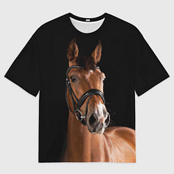 Футболка оверсайз мужская Гнедой жеребец, цвет: 3D-принт
