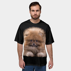Футболка оверсайз мужская Рыжий Шпиц, цвет: 3D-принт — фото 2