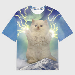 Футболка оверсайз мужская Грозовой Котик, цвет: 3D-принт