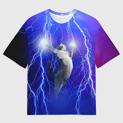 Мужская футболка оверсайз Грозовой кошак