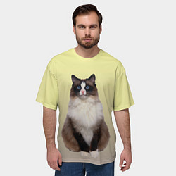 Футболка оверсайз мужская Персидская пушистая кошка, цвет: 3D-принт — фото 2