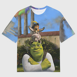 Футболка оверсайз мужская Шрек, Кот и Осёл, цвет: 3D-принт