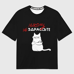 Мужская футболка оверсайз Неприветливый кот