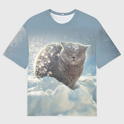 Футболка оверсайз мужская Кот встречает Новый Год!, цвет: 3D-принт