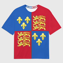 Футболка оверсайз мужская Рыцарское сюрко Ричарда Львиное Сердце, цвет: 3D-принт