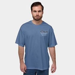 Футболка оверсайз мужская Линукс пингвин на сером фоне, цвет: 3D-принт — фото 2