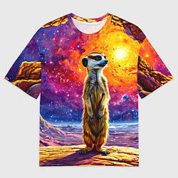Футболка оверсайз мужская Сурикат и космическое небо, цвет: 3D-принт