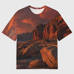 Мужская футболка оверсайз Ночной каньон