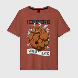 Футболка оверсайз мужская Iceberg: Street Athletic, цвет: кирпичный