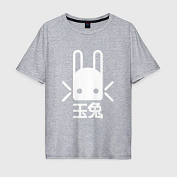 Футболка оверсайз мужская Destiny Rabbit, цвет: меланж