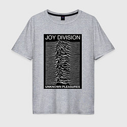 Футболка оверсайз мужская Joy Division: Unknown Pleasures, цвет: меланж