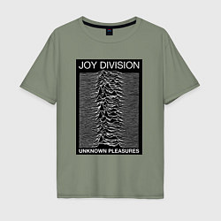 Мужская футболка оверсайз Joy Division: Unknown Pleasures