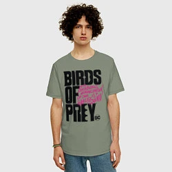Футболка оверсайз мужская Birds of Prey logo, цвет: авокадо — фото 2
