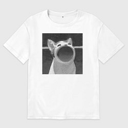 Футболка оверсайз мужская ЧБ Pop Cat, цвет: белый