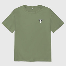 Футболка оверсайз мужская Triumph Мото Лого Z, цвет: авокадо