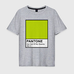 Футболка оверсайз мужская Shrek: Pantone Color, цвет: меланж