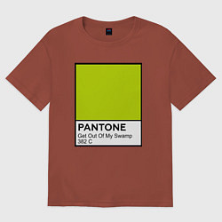 Футболка оверсайз мужская Shrek: Pantone Color, цвет: кирпичный