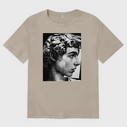 Футболка оверсайз мужская Давид Скульптура Тимоти Шаламе, цвет: миндальный