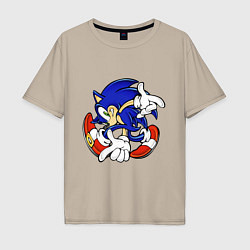 Мужская футболка оверсайз Blue Hedgehog