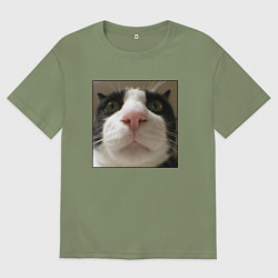 Футболка оверсайз мужская Задумчивый кот, цвет: авокадо