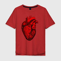 Футболка оверсайз мужская Сердце анатомическое, цвет: красный