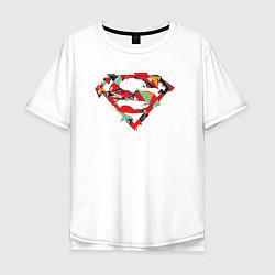Футболка оверсайз мужская Logo Superman, цвет: белый