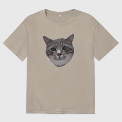 Футболка оверсайз мужская Кот Пушистик, цвет: миндальный