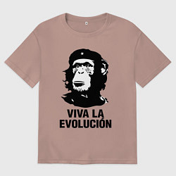 Футболка оверсайз мужская Да здравствует эволюция, цвет: пыльно-розовый