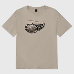 Мужская футболка оверсайз Asteroid