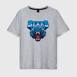 Футболка оверсайз мужская Bears team, цвет: меланж