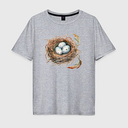 Футболка оверсайз мужская Гнездо с яйцами, цвет: меланж