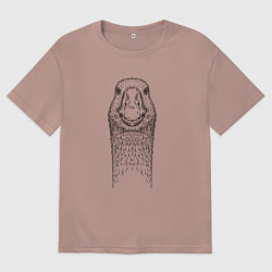 Футболка оверсайз мужская Гусь анфас, цвет: пыльно-розовый