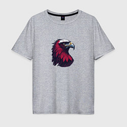 Футболка оверсайз мужская Красочный орел, цвет: меланж