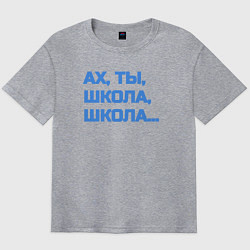 Футболка оверсайз мужская Ах, ты, школа, школа, цвет: меланж