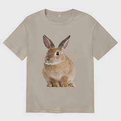 Футболка оверсайз мужская Бежевый кролик, цвет: миндальный