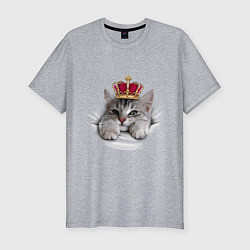 Мужская slim-футболка Pretty kitten