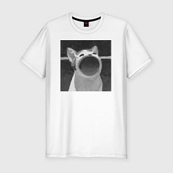 Мужская slim-футболка ЧБ Pop Cat