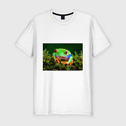 Мужская slim-футболка Тропическая лягушка