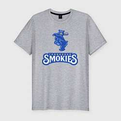 Мужская slim-футболка Tennessee smokies - baseball team