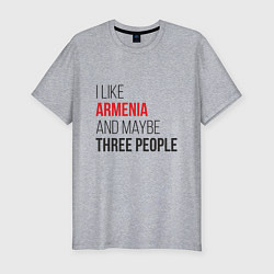Футболка slim-fit Люблю Армению и 3х людей, цвет: меланж