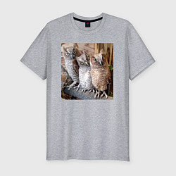 Футболка slim-fit Три совы - мем, цвет: меланж