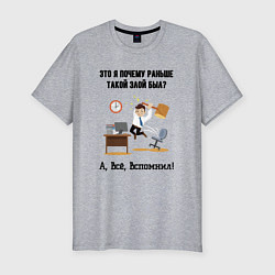 Футболка slim-fit Почему я злой, цвет: меланж