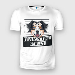 Футболка спортивная мужская Австралийская Овчарка Australian Shepherd, цвет: 3D-принт