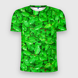 Мужская спорт-футболка Зелёные листья - текстура