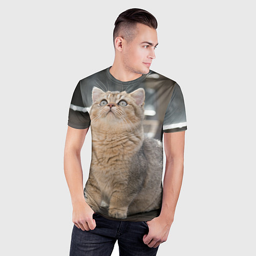 Мужская спорт-футболка Британская короткошёрстная кошка смотрит вверх / 3D-принт – фото 3