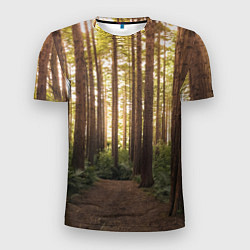 Мужская спорт-футболка Дневной лес, деревья и свет