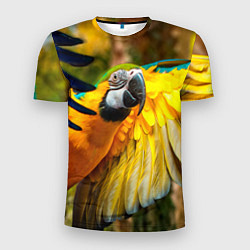 Футболка спортивная мужская Взлёт попугая, цвет: 3D-принт