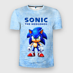 Футболка спортивная мужская Соник - синий ёж, цвет: 3D-принт